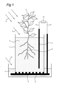 Figure 1 of EP2137782B1 Fig. 1 shows a reactor 1 that is provided with an anode compartment 2 and a cathode compartment 3. The anode compartment 2 contains an anode 4, and the cathode compartment 3 contains a cathode 5. The anode compartment 2 and the cathode compartment 3 are separated from each other by a membrane 6. The anode compartment 2 accommodates a living plant 7, placed in it in such a way that the roots 8 of the living plant are surrounded by the anodic material in granular form. The anode and the cathode are connected electrically with each other by a resistance or a device that consumes electrical energy (12), with the aid of electrical connections 13.