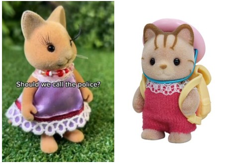 Figure 3: A comparison of cats